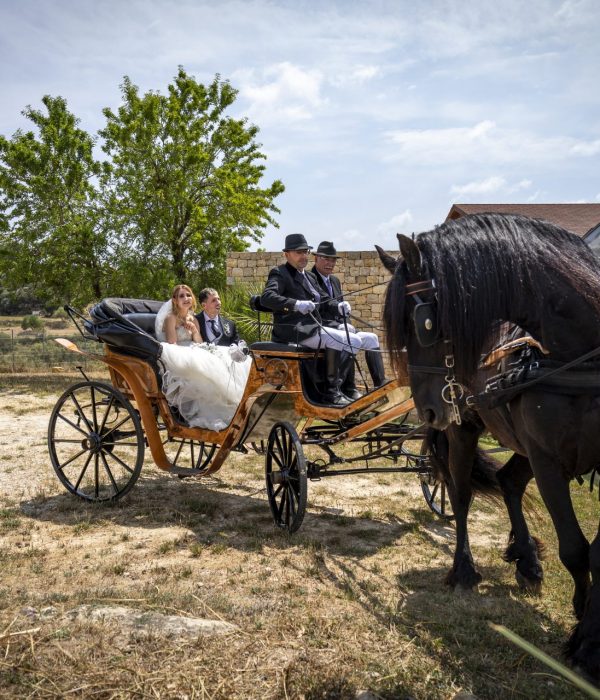 Boda_Sheyla_Javi_193