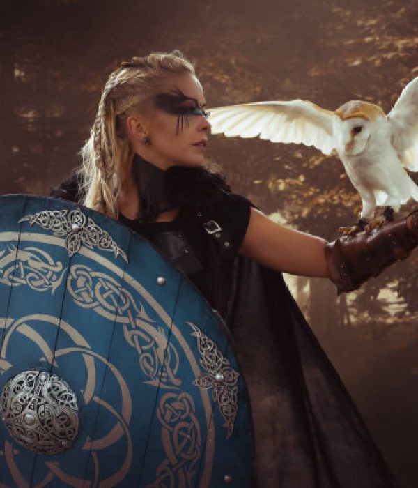 depositphotos_223819826-stock-photo-warrior-beautiful-white-owl-viking